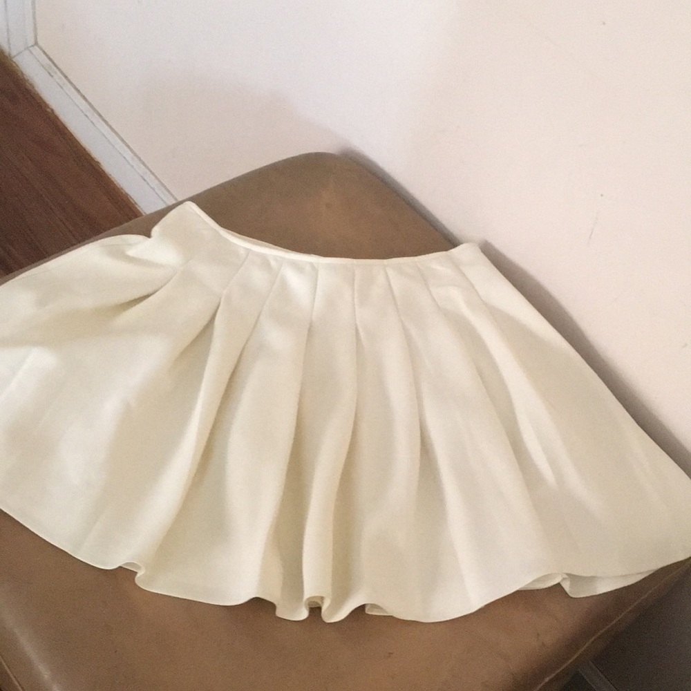 Brand New skirt